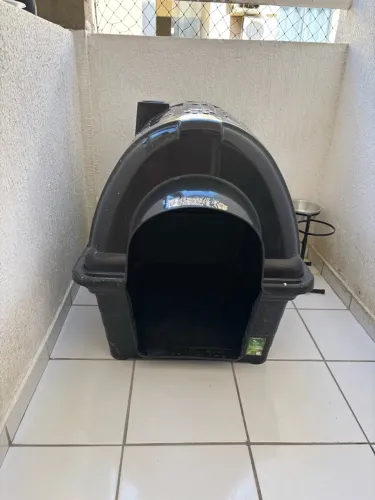 Casinha de Cachorro usada.