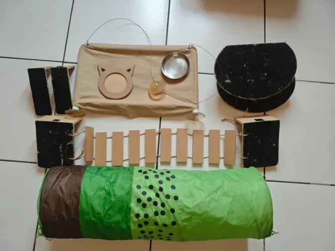 Kit mimo para gatinhos
