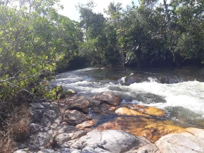 Vendo!!! Uma fazenda de 13.870 hectares na região de Novo Progresso/PA