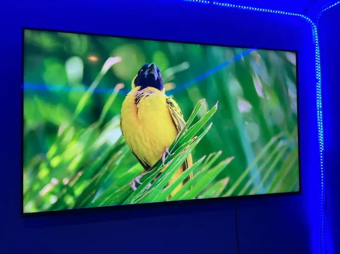 Smart Tv 4k 58Polegadas Philco - Roku