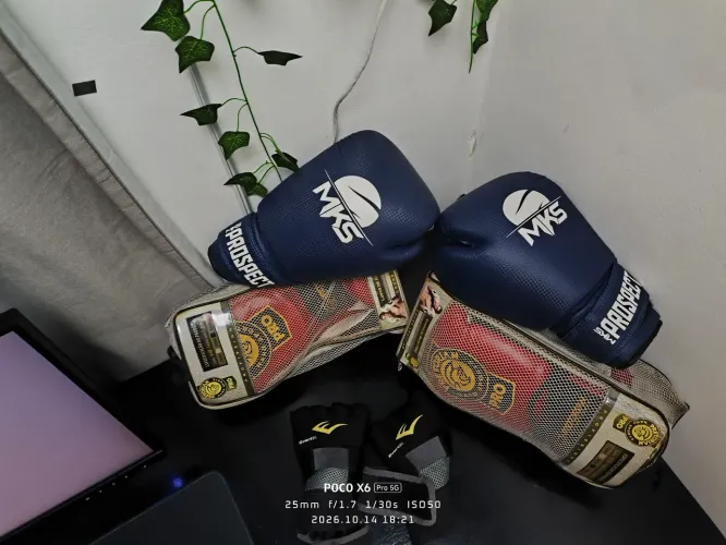 3 pares de luva de boxe