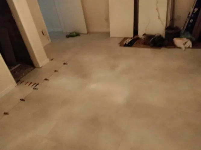 Preciso de servente meia colher 