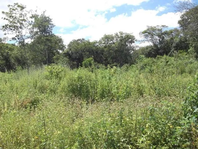 Serra do Cipó!!linda chácara de 2.500 m², com nascente WhatAPP- * Guilherme