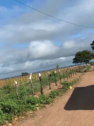 SÍTIO EM NOVA SOURE NO TINGUI