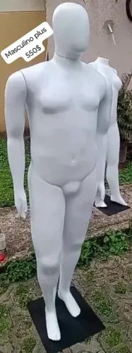 Manequim Plus masculino 550$ avista
