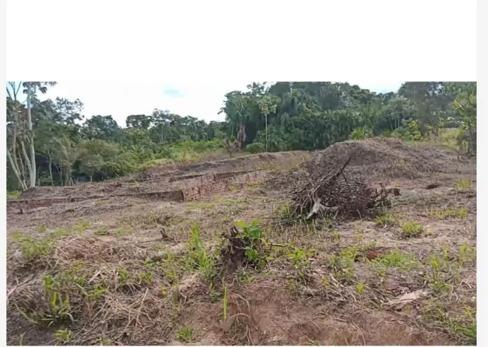 Área pra chácara