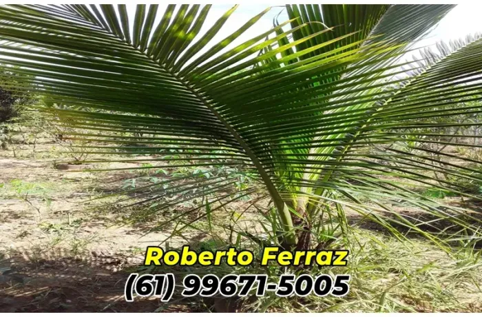 Casa, no Condomínio Nautico Tarumã - Corumbá IV.