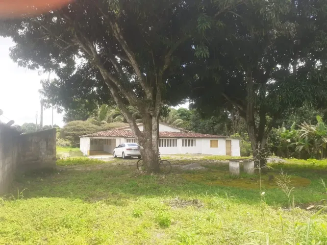 Vendo chácara no povoado Miranda capela 