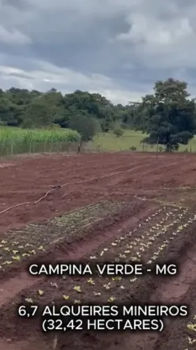 Sítio próximo campina verde 