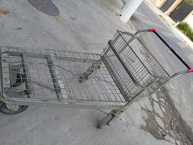 Carrinho Prancha Atacado