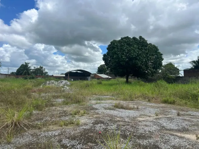VENDE-SE OU ALUGA-SE ÁREA NA BR-104 (Sentido Maceió)