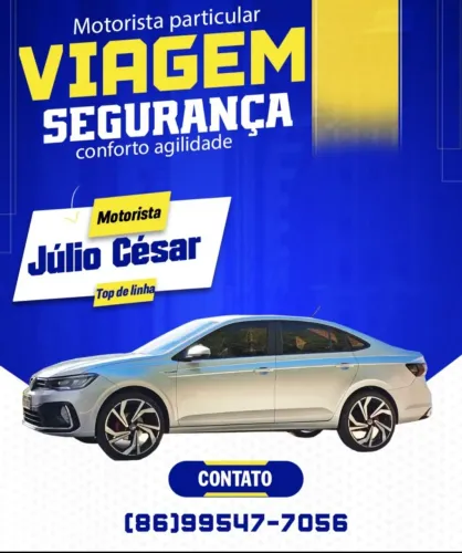 Motorista particular  profissional 