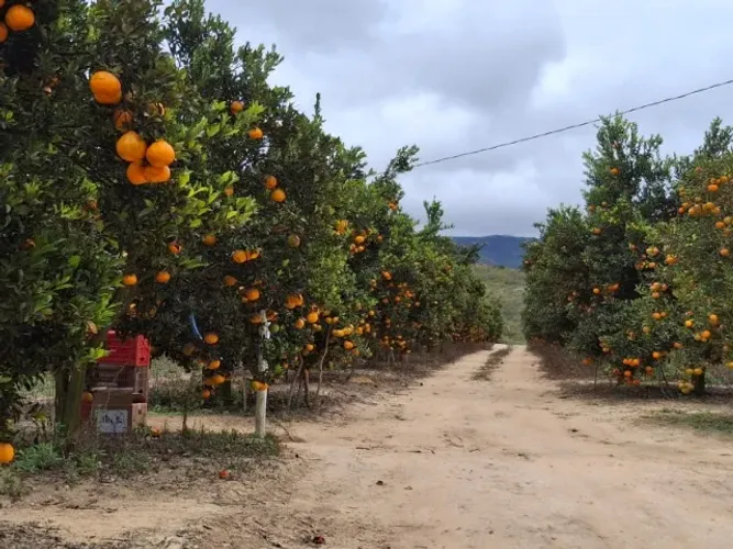 Sítio com Porteira Fechada e 42 Hectares em Rio de Contas - Chapada Diamantina
