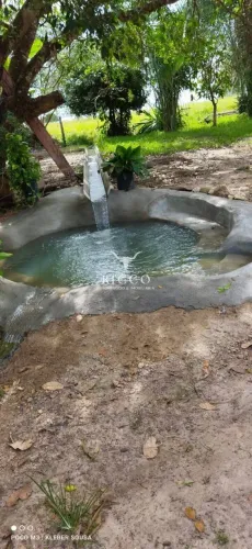 Chácara à Venda em Araguapaz-GO 6 Alqueires Rica em Água