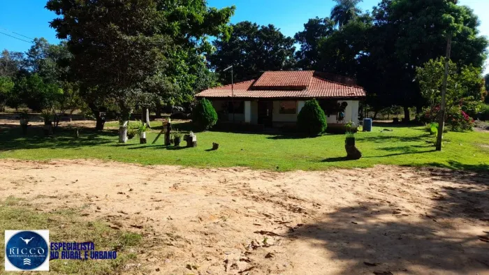 Fazenda à venda Recursolândia/TO | 450 hectares Dupla Aptidão