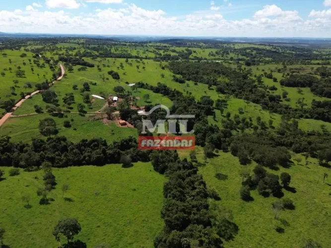 Chácara 9,5 alqueires (46 hectares) Cromínia - Go
