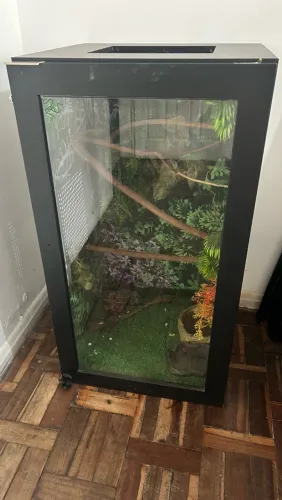 Terrário completo com tudo da foto