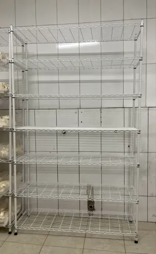 Estante inox