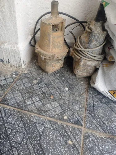 bombar sapo 