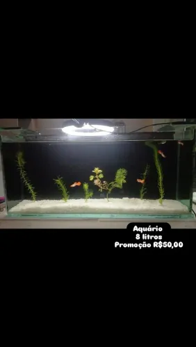Aquário 