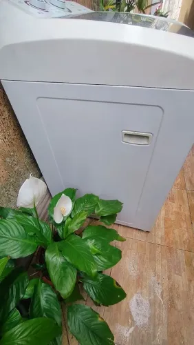 Máquina de lavar