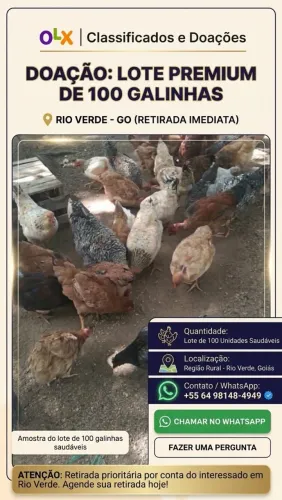 Doação de Galinhas