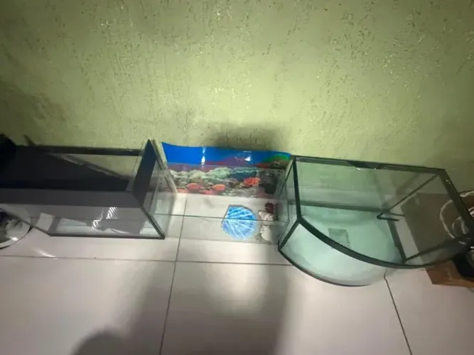 Aquario