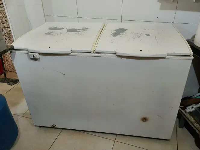 Vende-se freezer vertical Eletrolux 