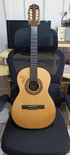 Viola tiao carreiro Rv181 elétrica Rozini com bag acolchoada muito nova