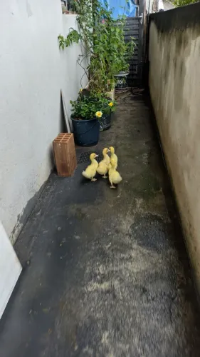 doação 