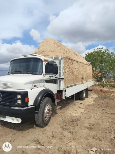 Vendo Mercedes Benz 1313 leia a descrição abaixo 