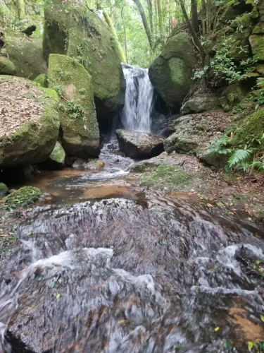 Terreno Excelente Munhoz (Sudoeste de Minas) 51.000 m² C/cascata/água nascente "Venda Urge