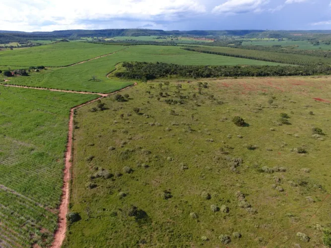 *FAZENDA A VENDA NA REGIÃO DE UBERLÂNDIA-MG* ?? Localizada no Município do Prata-MG, e 16