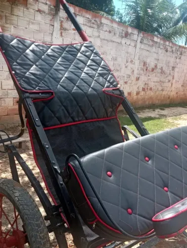 Charrete completa