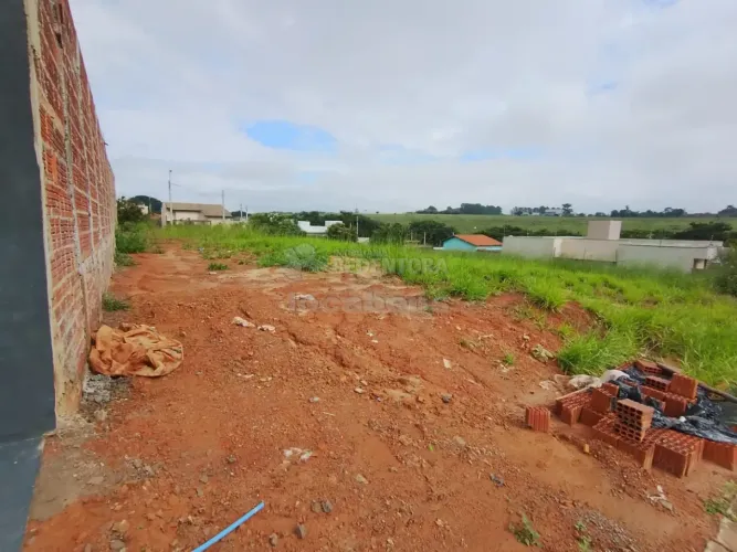 Terreno Padrão em São José do Rio Preto