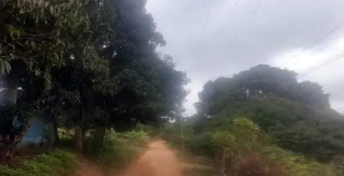 IMÓVEL NO ESTABELECIDA NA AV. PADRE CÍCERO - TIANGUA/CE