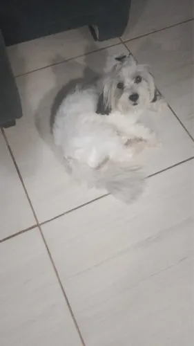 Procurando um namorado