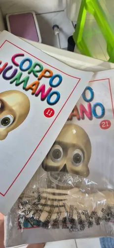 Coleção Completa Corpo Humano Salvat - 71 Fascículos Lacrados<br>