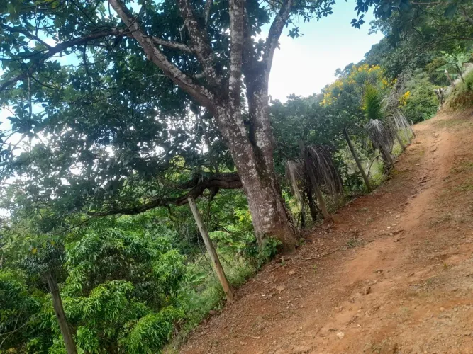 Vendo lindo terreno em Santa Teresa