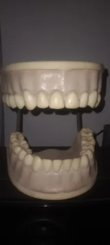 Modelo de arcada dentária