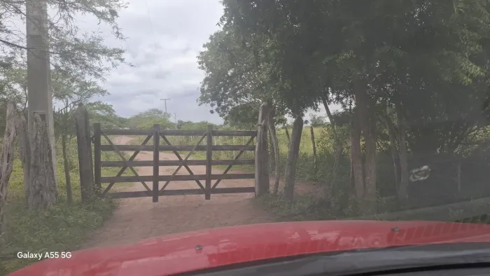 Fazenda de 150t  e 8 tanques a 3 km da cidade de Tanquinho-Ba.