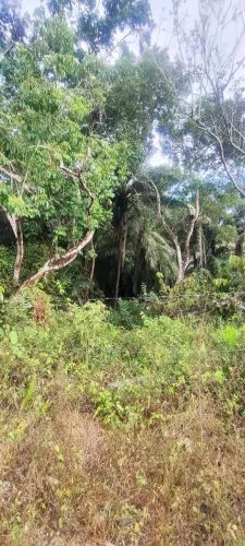 Terreno 12x70 em Itaporanga d'ajuda