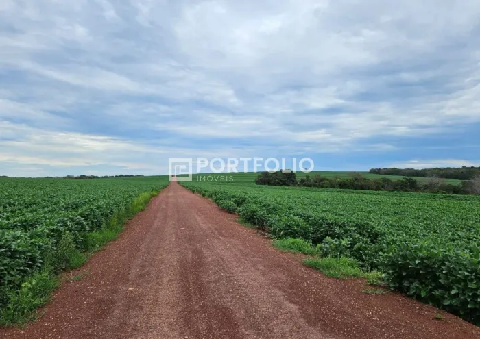 Fazenda à venda, Doverlândia, Doverlândia, GO