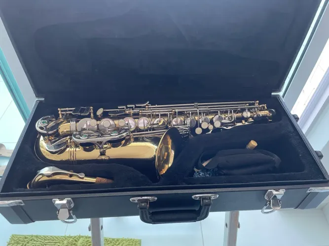 Sax alto modelo SA 501 Eagle