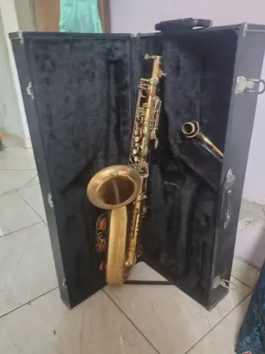 Saxofone iniciante, profissional e intermediario usado