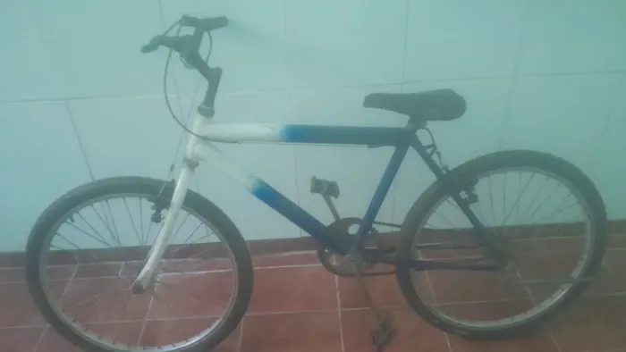 Bike Aro 24