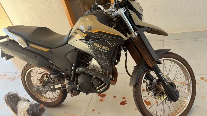 Lander 250