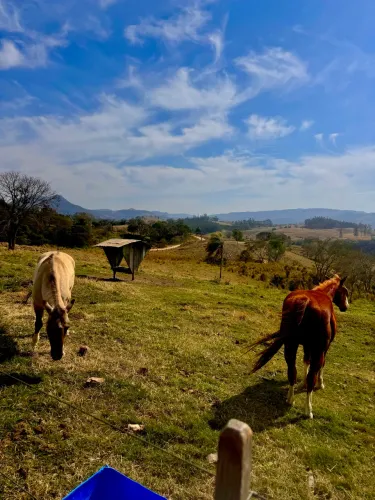 Casal de caseiros para SAPOPEMA PR