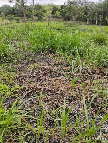Terreno , para contribuir casas ou plantio