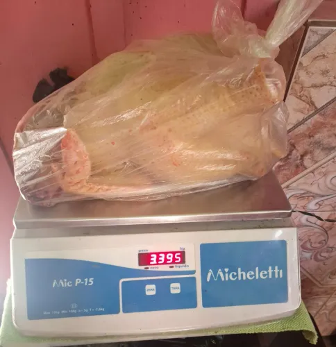 Frango limpo